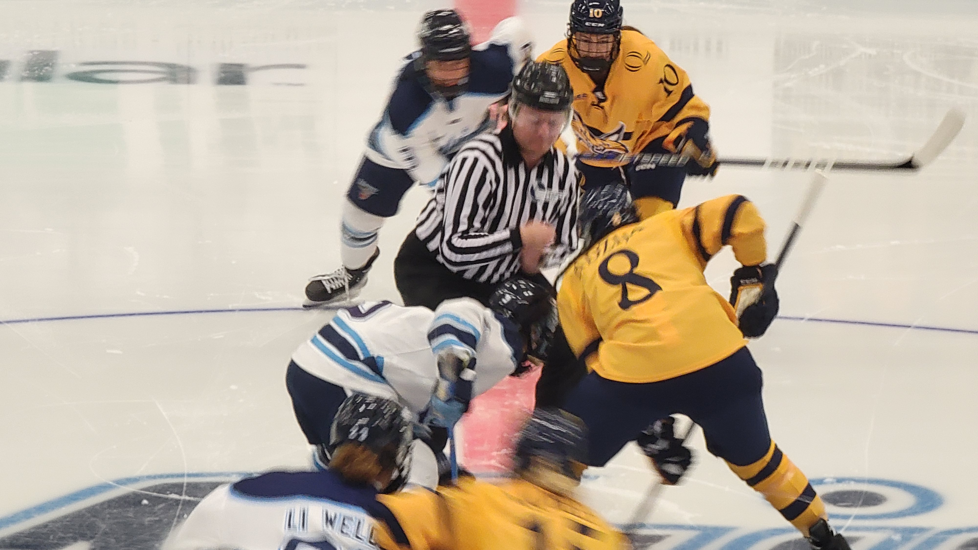 Maine Women's Ice Hockey (@mainewih) • Instagram photos and videos