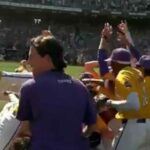 LSU wins eighth college baseball title