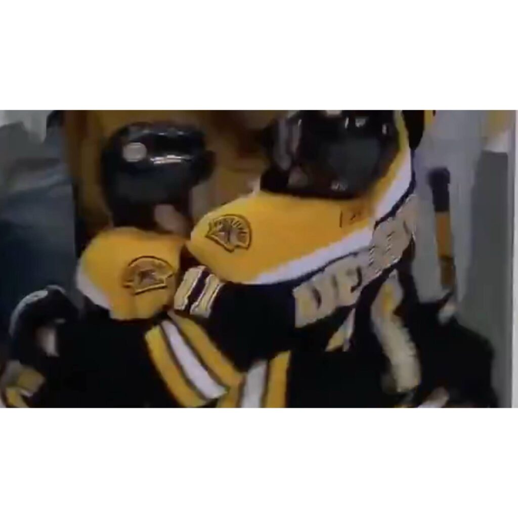 Marco Sturm is the next head coach of the Boston Bruins