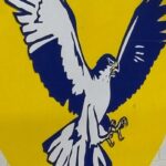 Hermon opens season with boys basketball win over Foxcroft