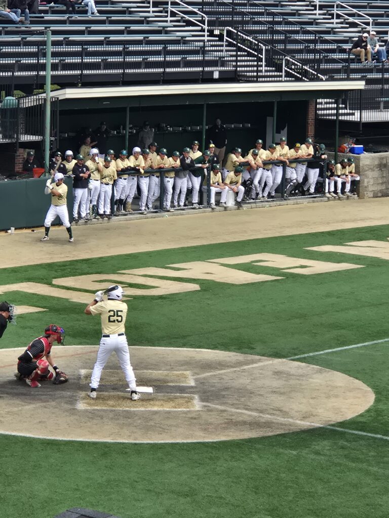 Matt Holmes named to D3baseball.com All-Region First Team