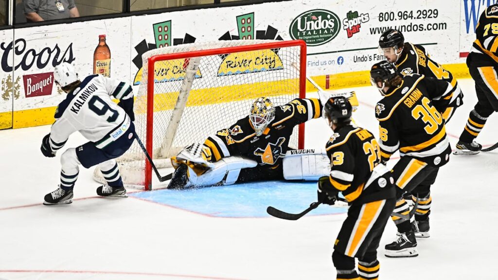 Maine Mariners fall short at Wheeling in Game 7 of the North Division Finals