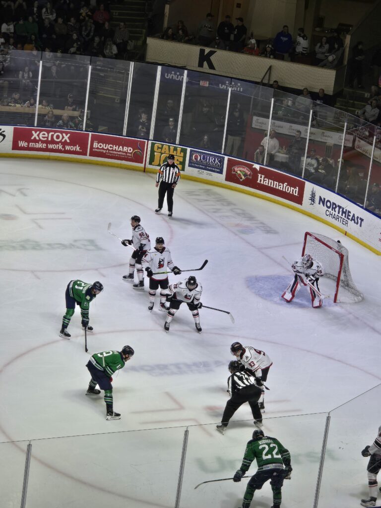 Maine Mariners bounce back after opening night loss, sweeps Worcester in Portland in home openers